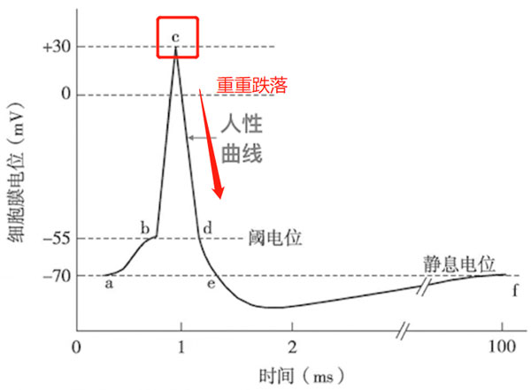 C 點(diǎn)再次重重跌回來