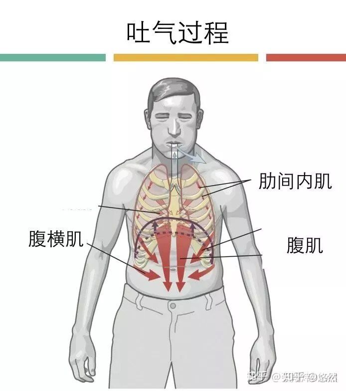 吐氣過程