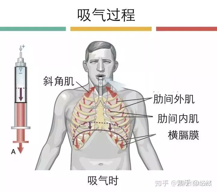 吸氣過程