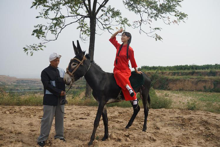 美女騎驢照片